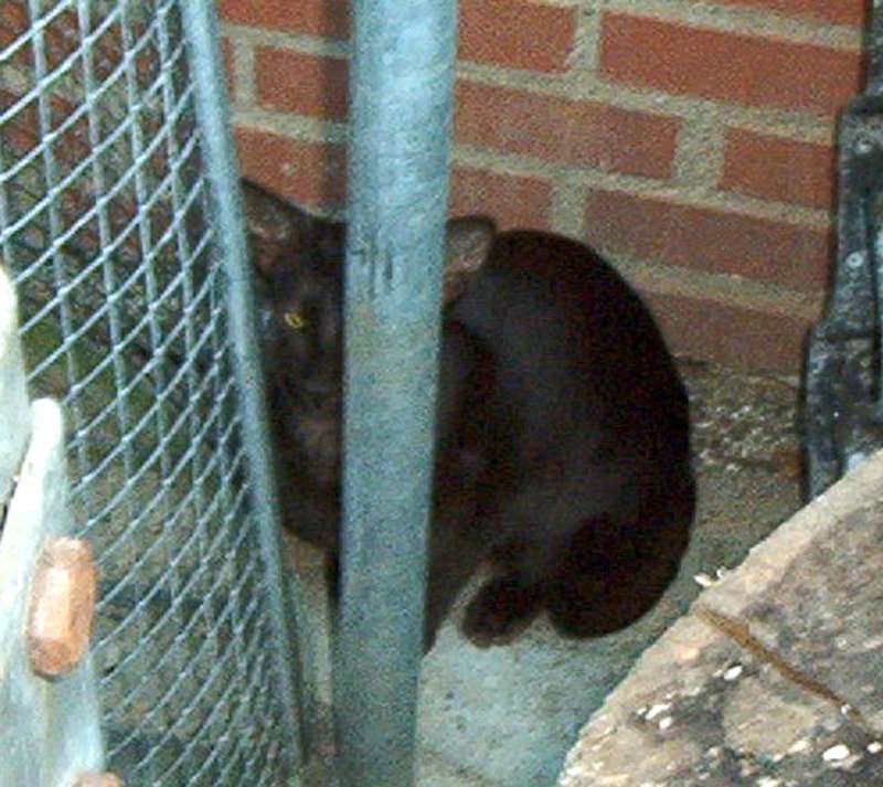 Oops, you found me.