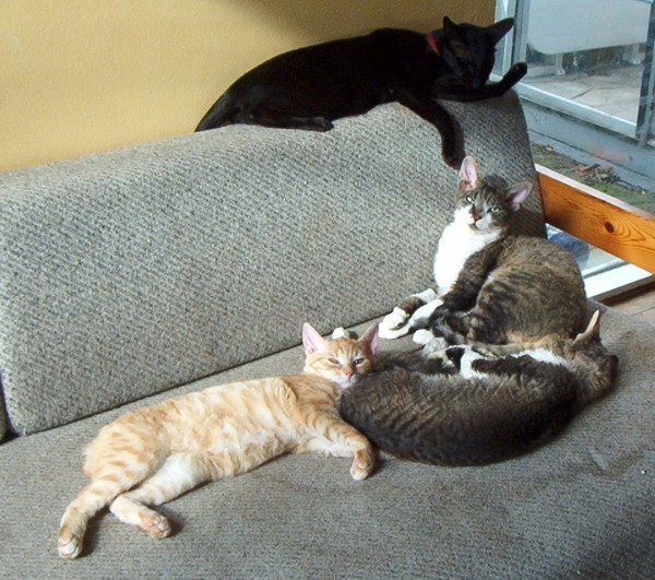 Gerd, Rowan, Clementine and Omar