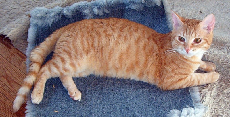 Gerd is getting a big boy!